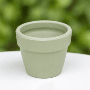 Chậu đất nung mini