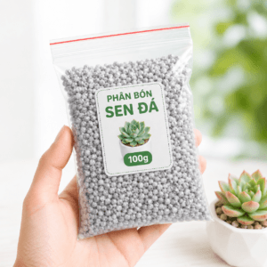Phân bón tan chậm