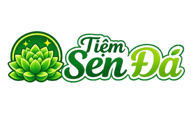 Shop sen đá đẹp & quà tặng sen đá giá tốt | Tiệm sen đá